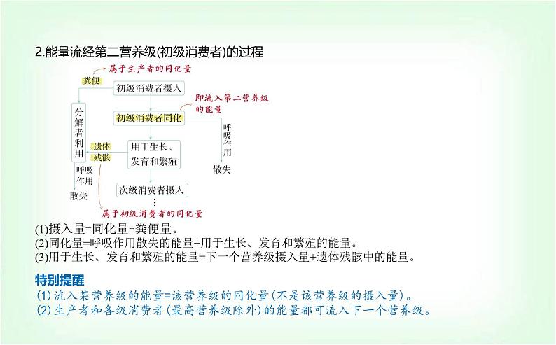 人教版高中生物选择性必修2生物与环境生物第3章生态系统及其稳定性第2节生态系统的能量流动课件第5页