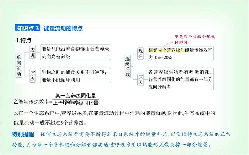 人教版高中生物选择性必修2生物与环境生物第3章生态系统及其稳定性第2节生态系统的能量流动课件第6页