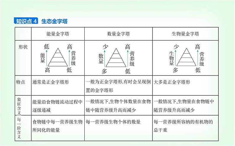 人教版高中生物选择性必修2生物与环境生物第3章生态系统及其稳定性第2节生态系统的能量流动课件第7页