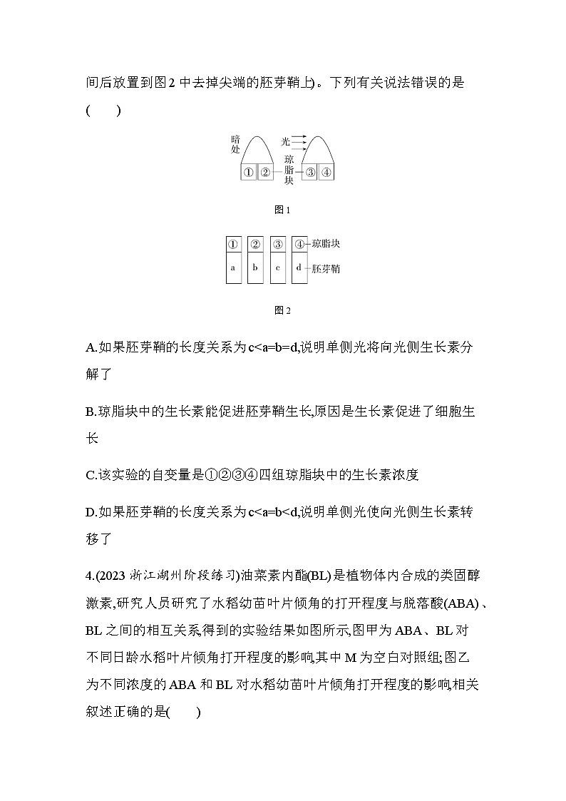 浙科版高中生物选择性必修1稳态与调节第5章题型整合练植物生长调节物质的实验分析及探究含答案03