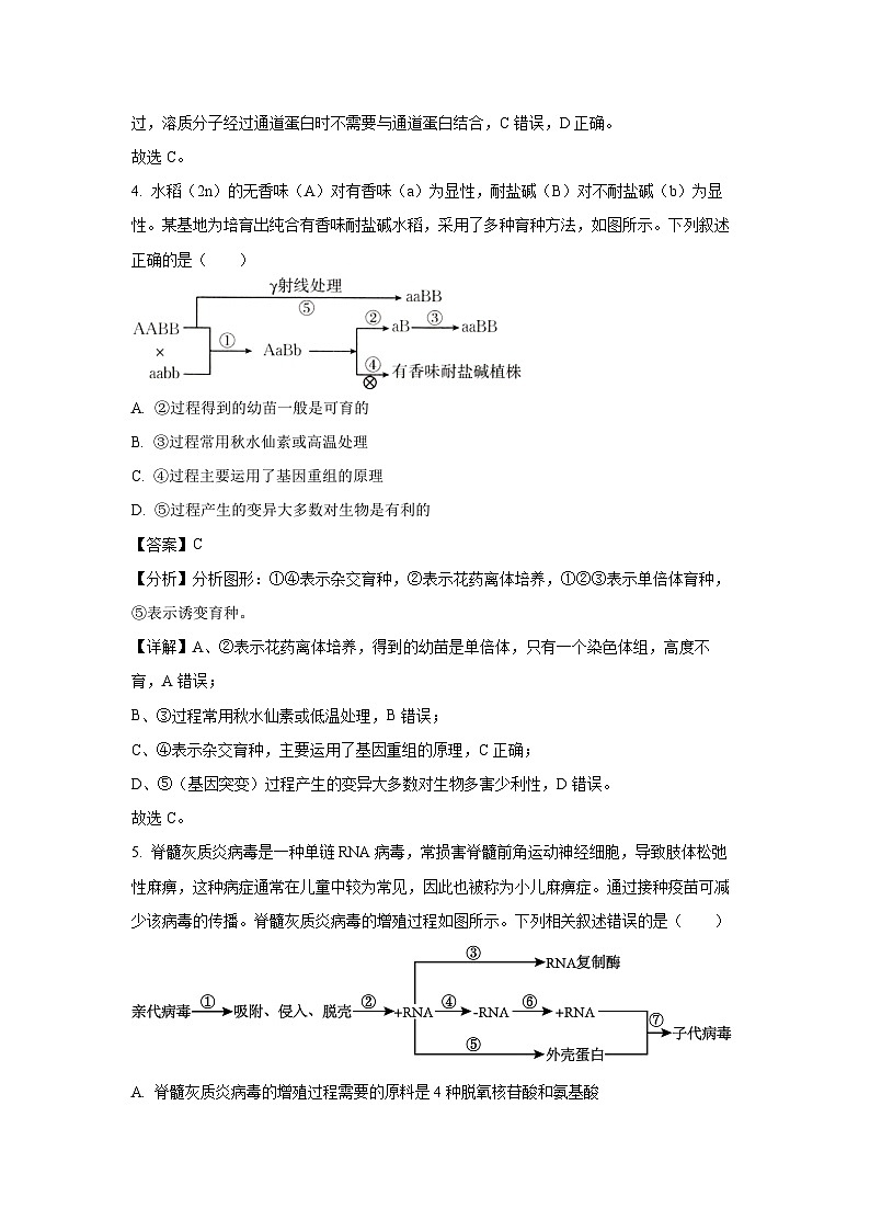 [生物][期末]河南省新乡市2023-2024学年高二下学期7月期末试题(解析版)第3页