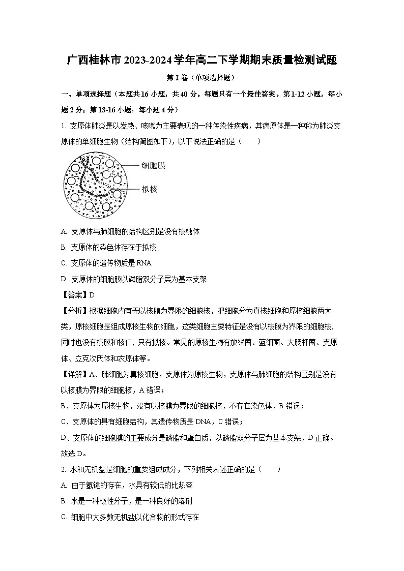 [生物][期末]广西桂林市2023-2024学年高二下学期期末质量检测试题(解析版)第1页