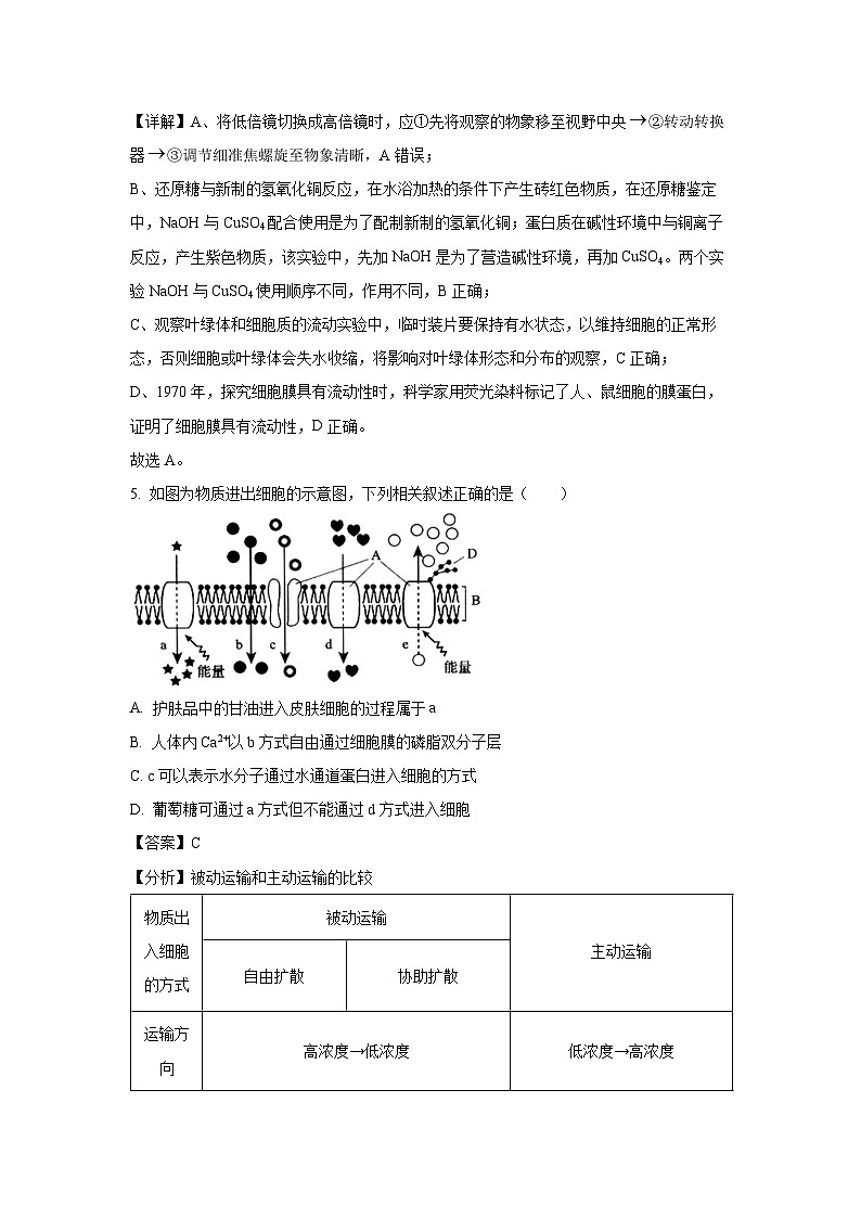 [生物][期末]广西桂林市2023-2024学年高二下学期期末质量检测试题(解析版)第3页