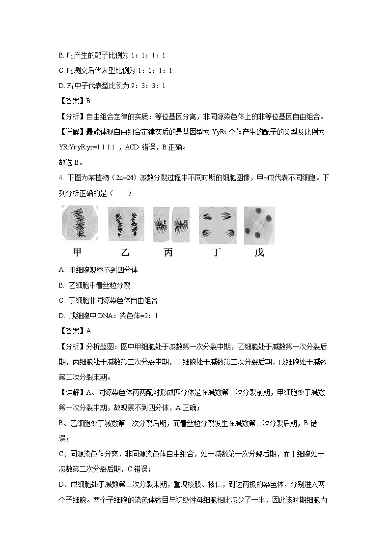 [生物][期末]北京市丰台区2023-2024学年高一下学期7月期末考试(解析版)03