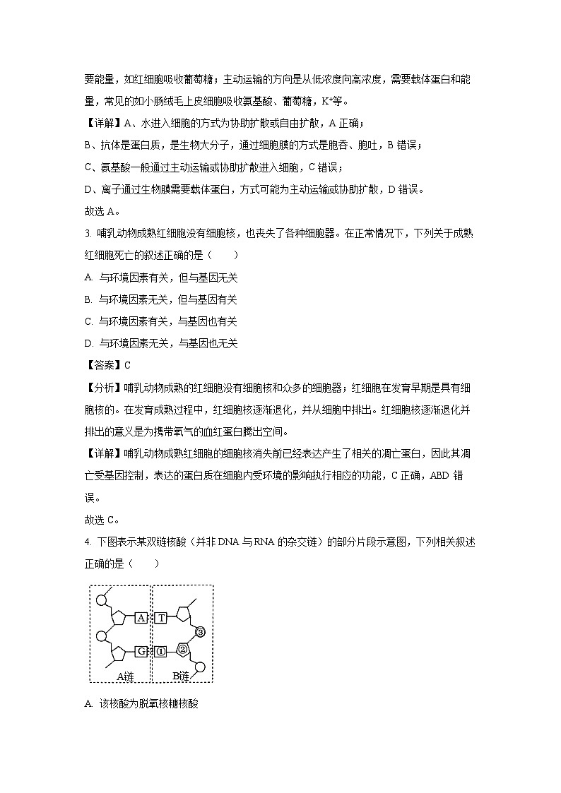 [生物][期末]云南省普洱市2023-2024学年高二下学期期末联考试题(解析版)02