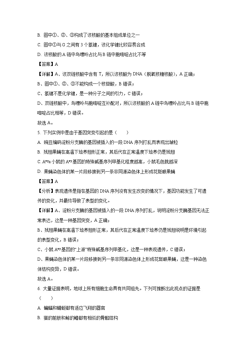 [生物][期末]云南省普洱市2023-2024学年高二下学期期末联考试题(解析版)03