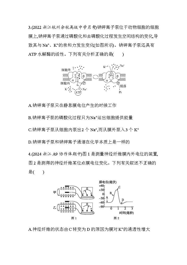 浙科版高中生物选择性必修1稳态与调节第2章第2节第1课时神经冲动的产生和在神经纤维上的传导练习含答案02
