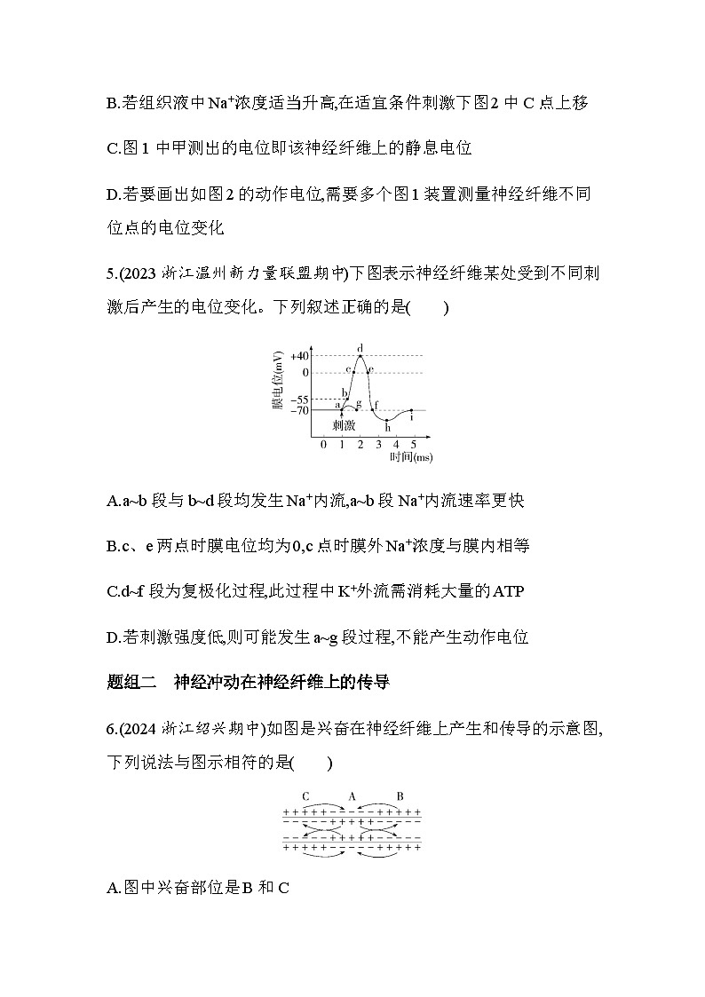 浙科版高中生物选择性必修1稳态与调节第2章第2节第1课时神经冲动的产生和在神经纤维上的传导练习含答案03