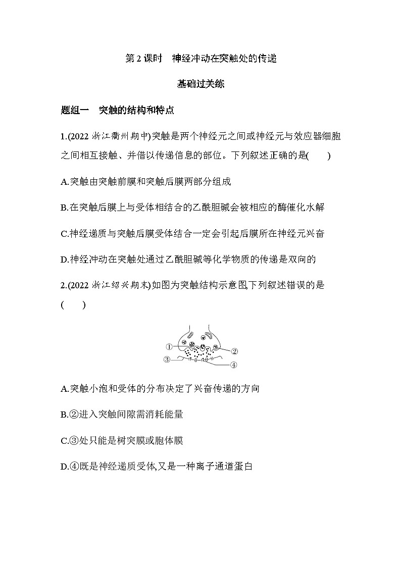 浙科版高中生物选择性必修1稳态与调节第2章第2节第2课时神经冲动在突触处的传递练习含答案01