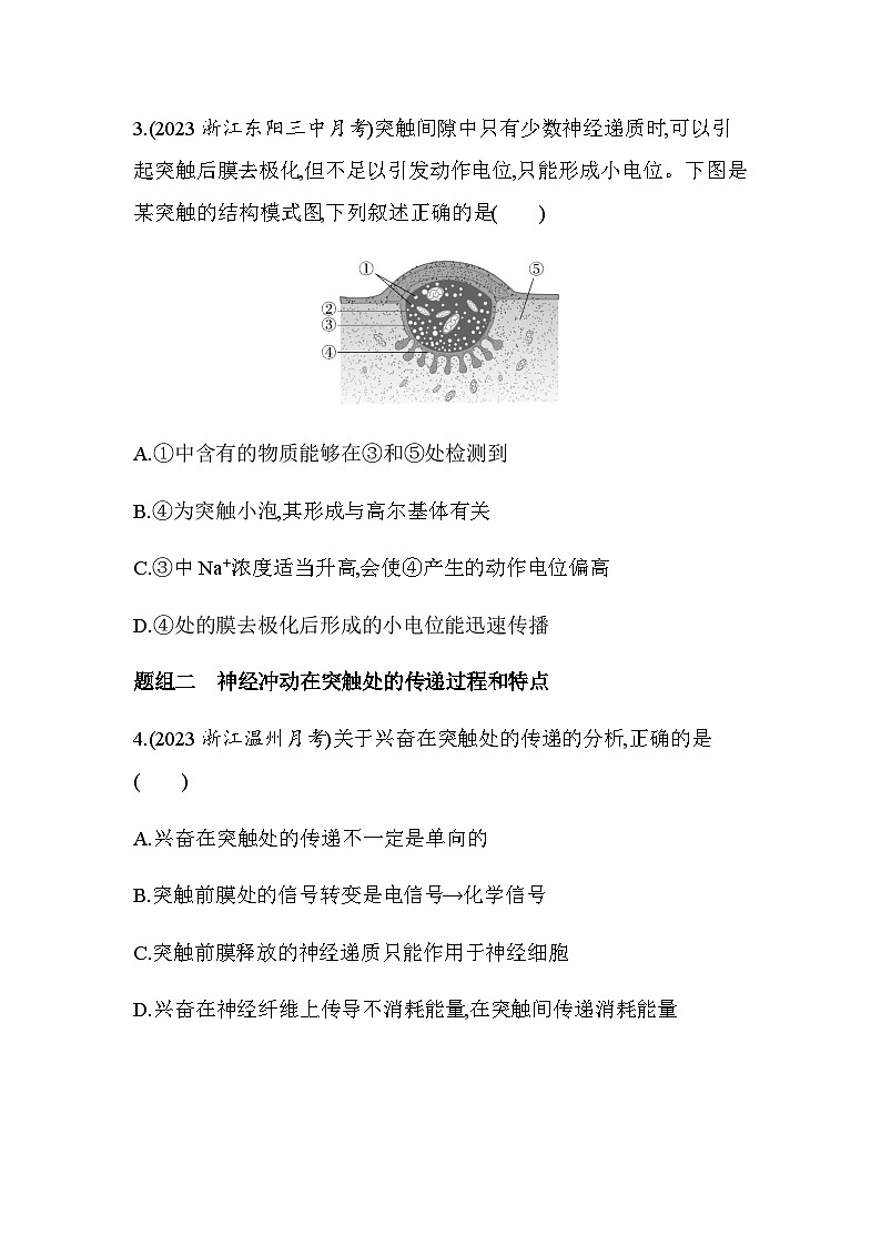 浙科版高中生物选择性必修1稳态与调节第2章第2节第2课时神经冲动在突触处的传递练习含答案02