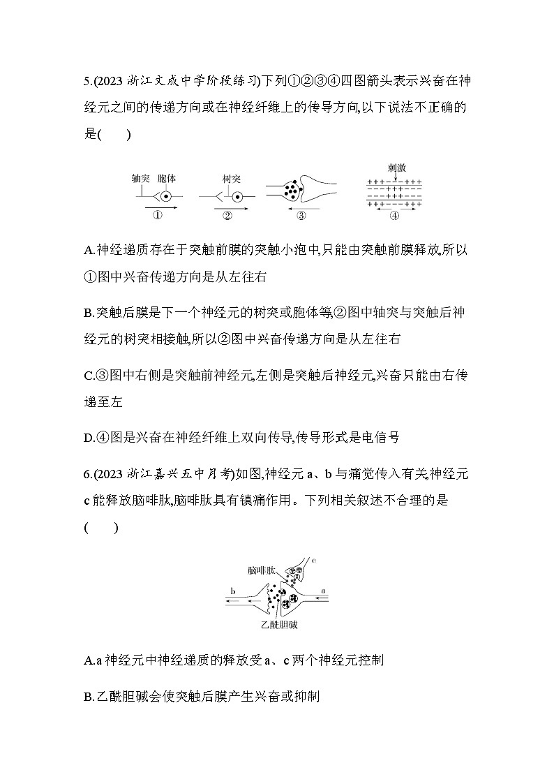 浙科版高中生物选择性必修1稳态与调节第2章第2节第2课时神经冲动在突触处的传递练习含答案03