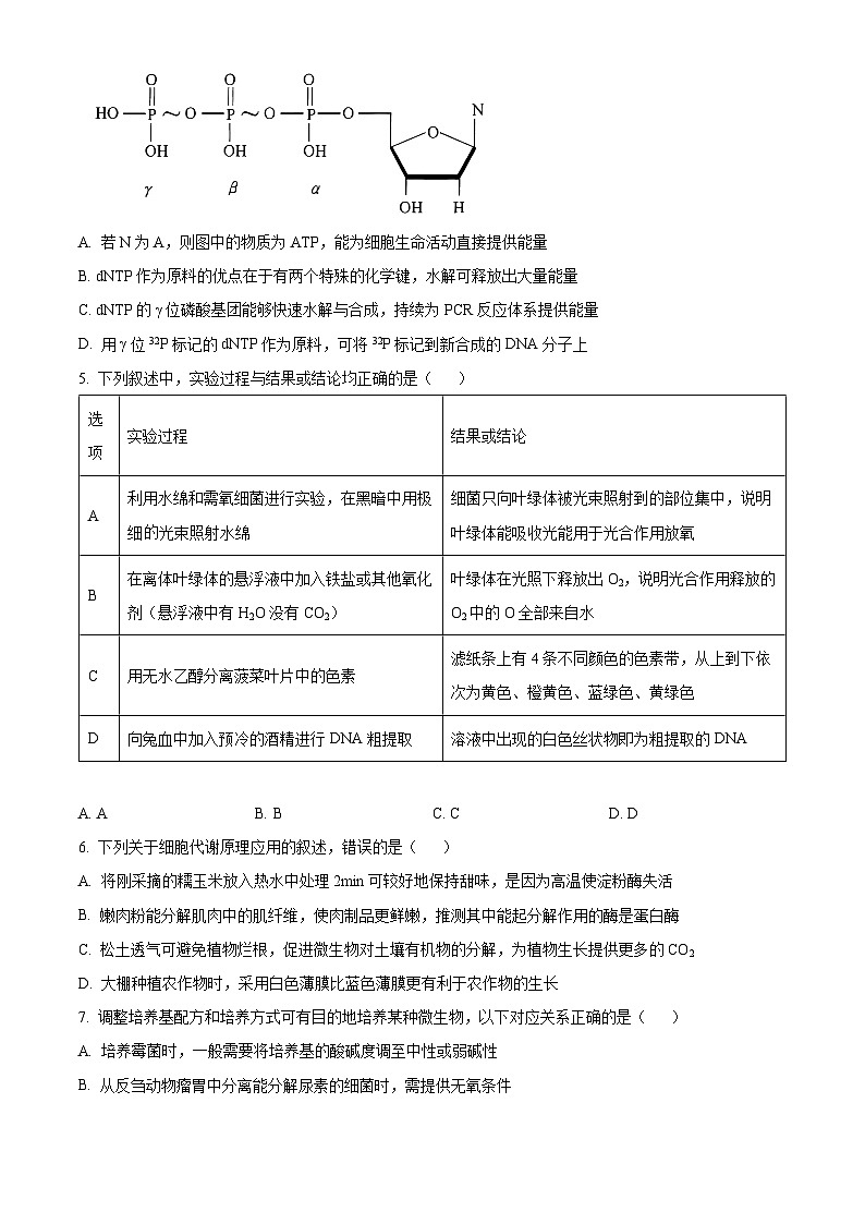 2024厦门高二下学期7月期末考试生物含解析02