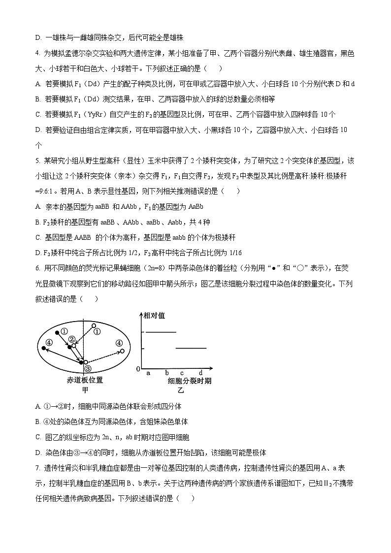 2024聊城高一下学期7月期末考试生物含解析02