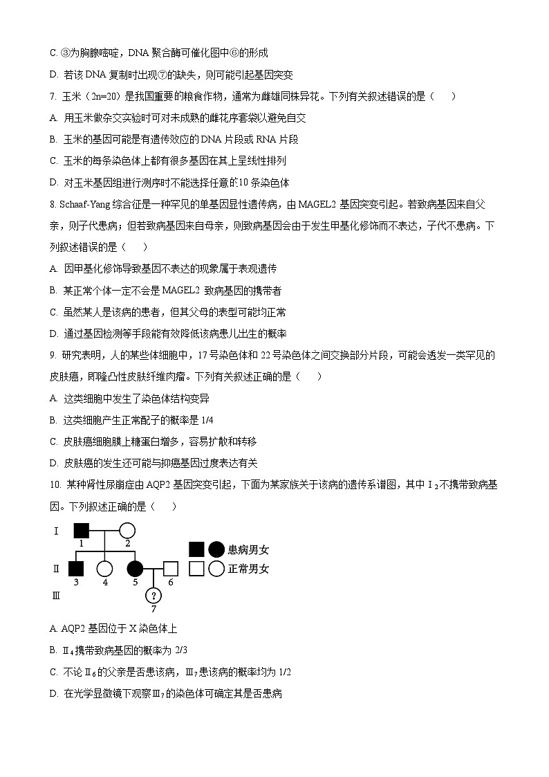 2024河池高一下学期7月期末考试生物含解析03