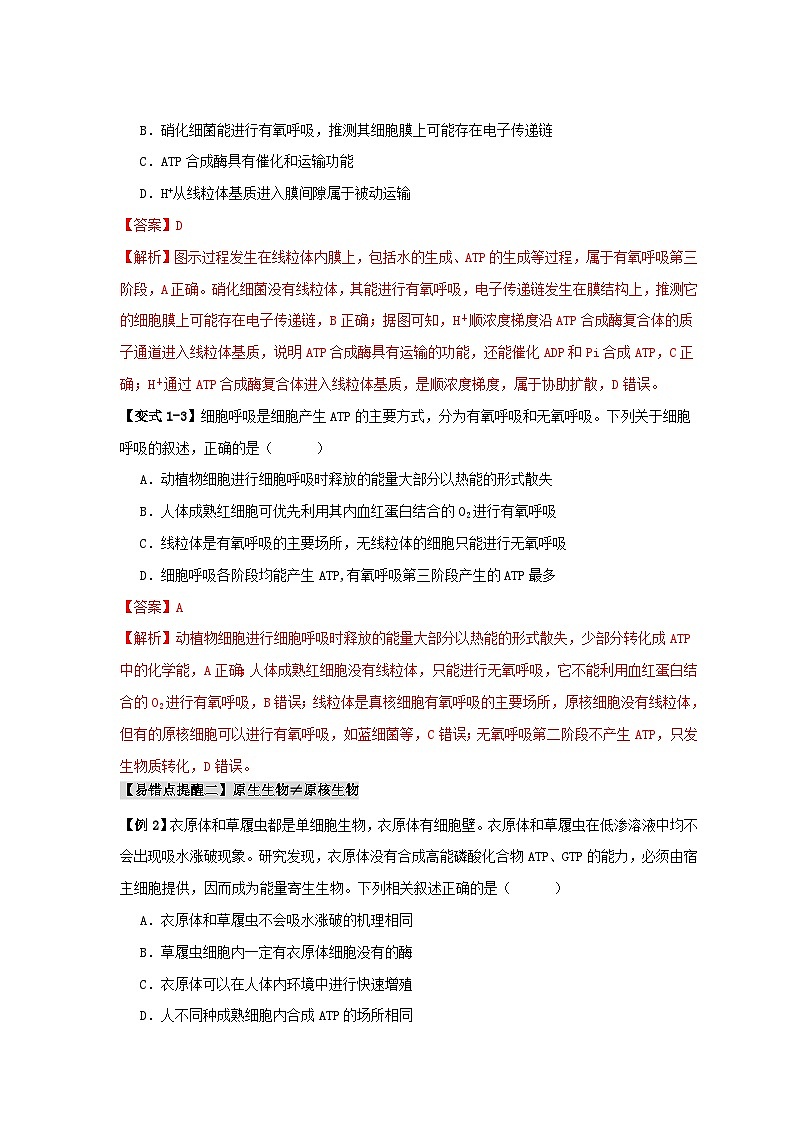 新高考专用备战2024年高考生物易错题精选易错点01真核生物和原核生物的辨析4大陷阱教师版第3页