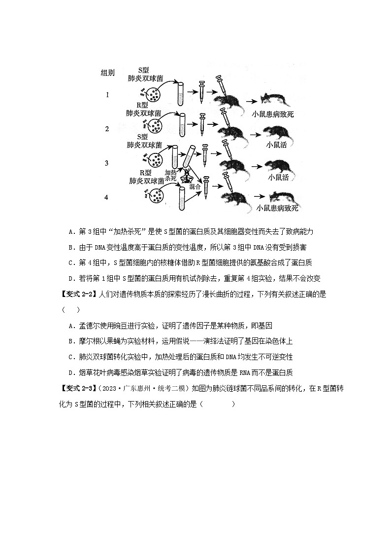 新高考专用备战2024年高考生物易错题精选易错点02蛋白质和核酸的三个理解误区学生版第3页