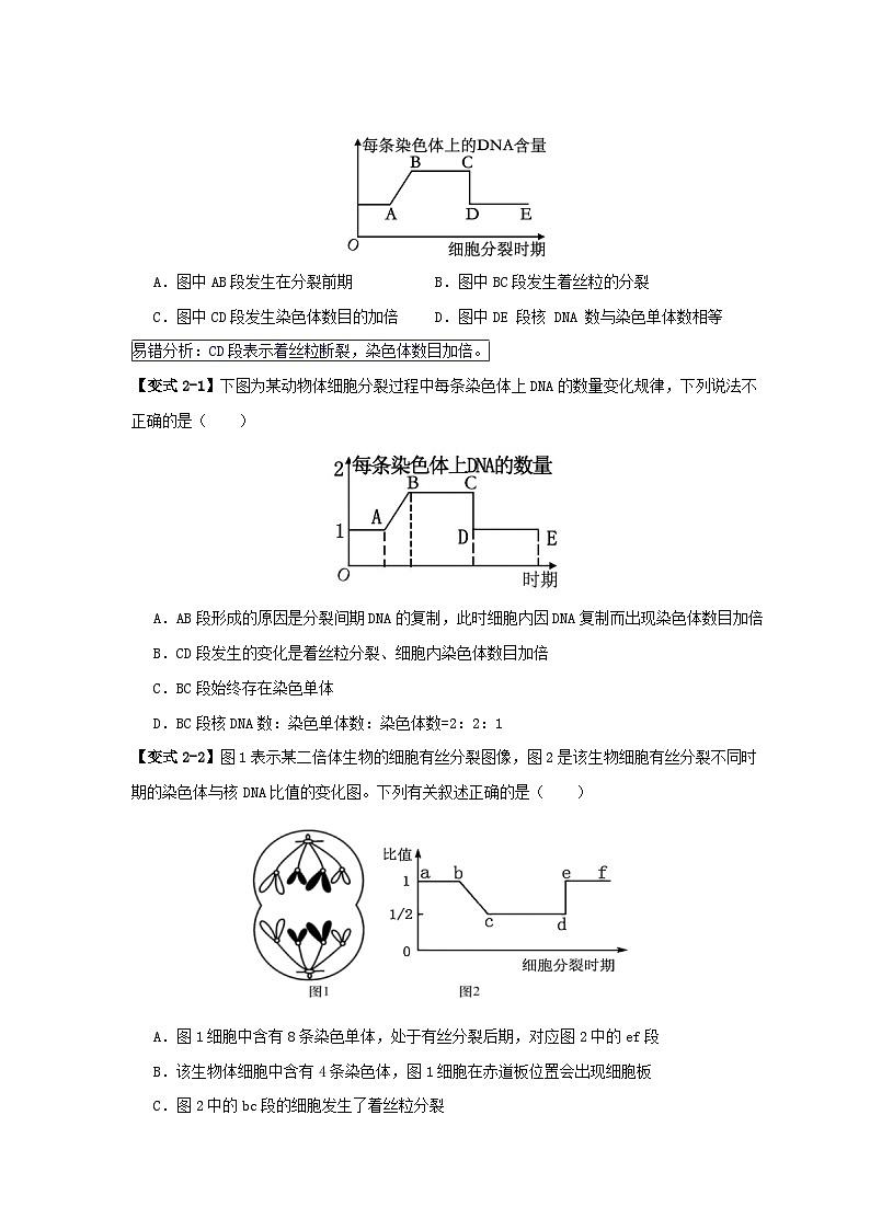 新高考专用备战2024年高考生物易错题精选易错点06细胞增殖的“四个”陷阱学生版第3页