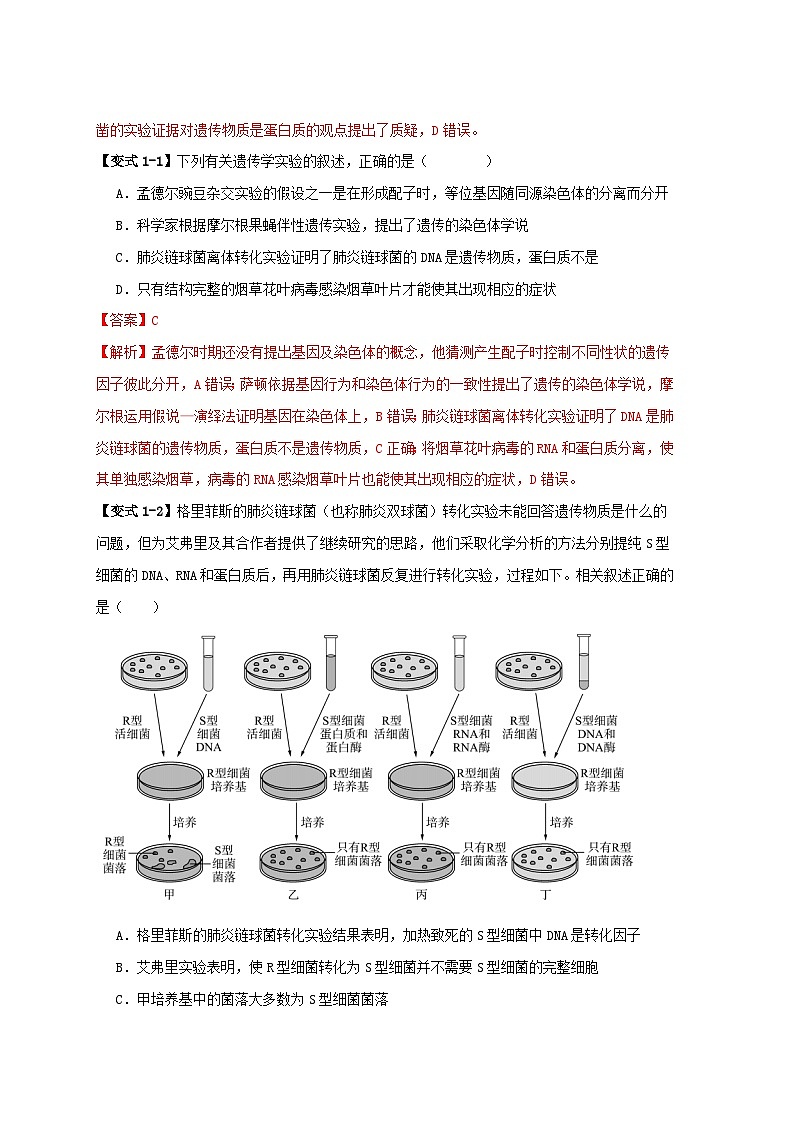 新高考专用备战2024年高考生物易错题精选易错点08遗传物质探索实验中的“三个”误区教师版第2页