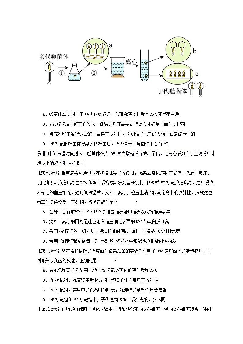 新高考专用备战2024年高考生物易错题精选易错点08遗传物质探索实验中的“三个”误区学生版第3页