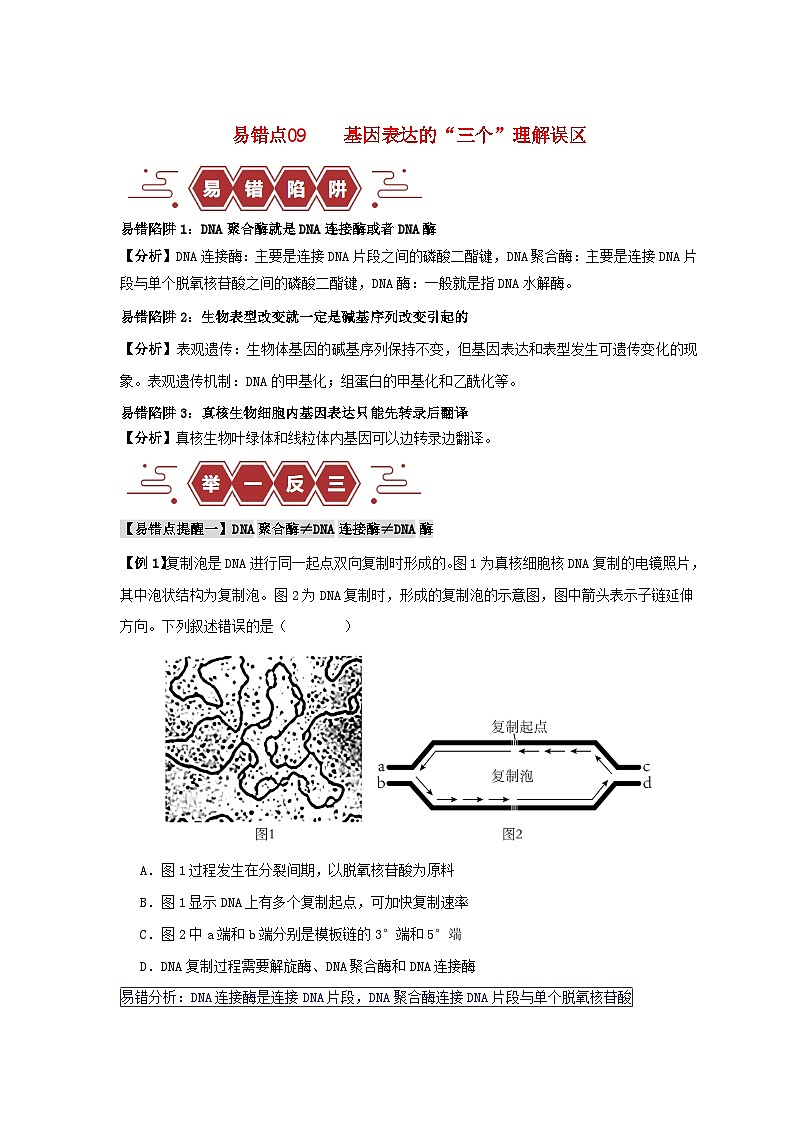 新高考专用备战2024年高考生物易错题精选易错点09基因表达的“三个”理解误区教师版第1页