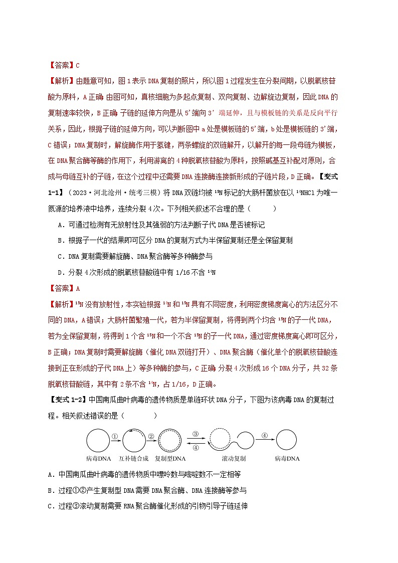 新高考专用备战2024年高考生物易错题精选易错点09基因表达的“三个”理解误区教师版第2页