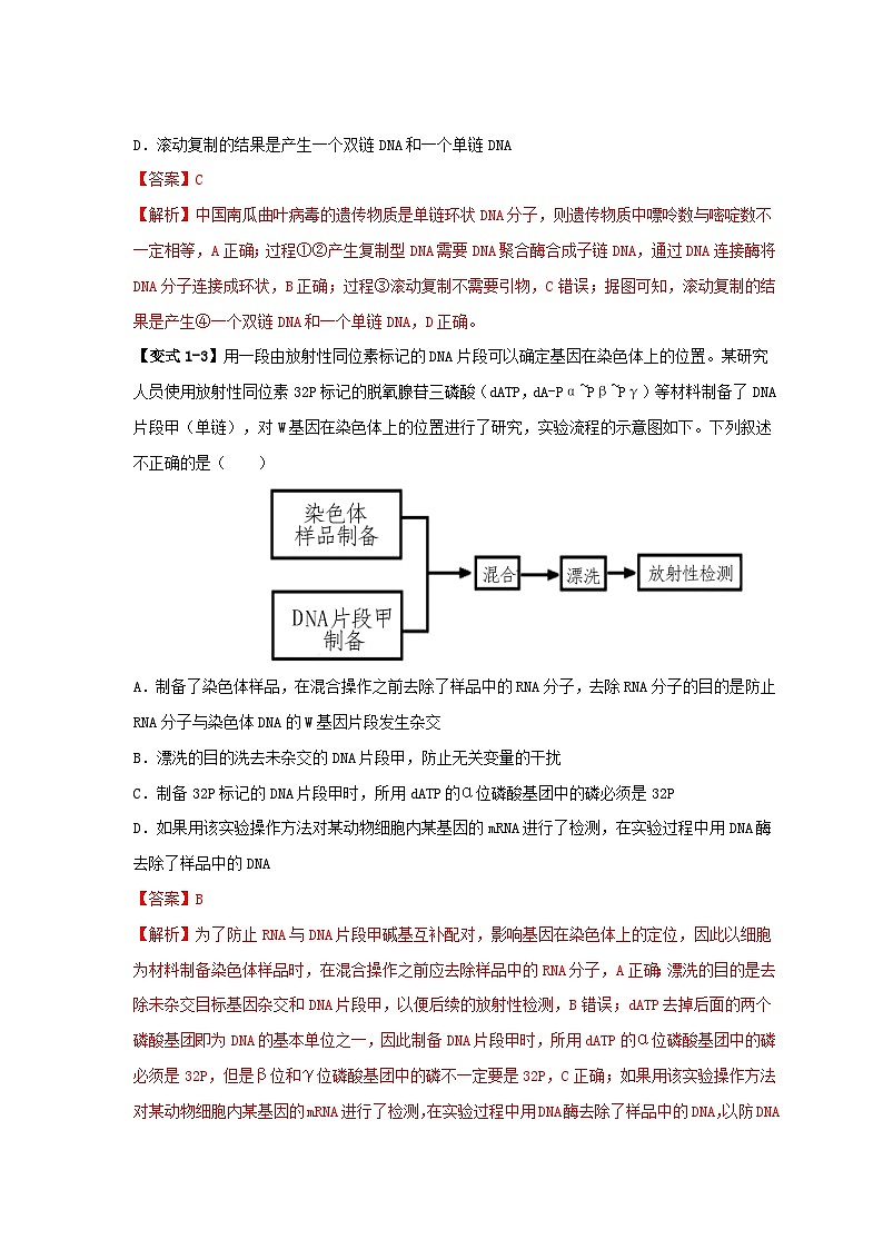 新高考专用备战2024年高考生物易错题精选易错点09基因表达的“三个”理解误区教师版第3页