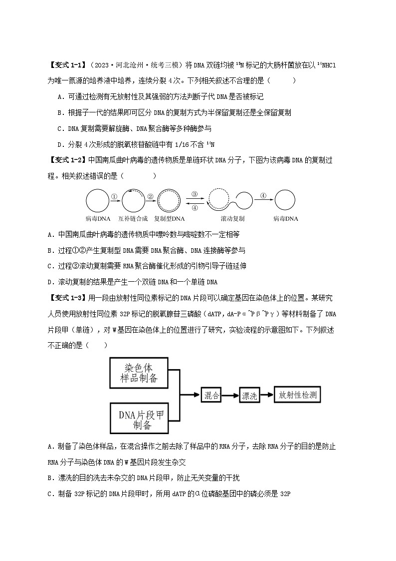 新高考专用备战2024年高考生物易错题精选易错点09基因表达的“三个”理解误区学生版第2页