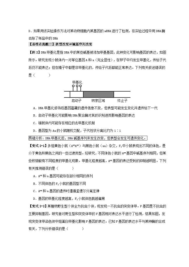新高考专用备战2024年高考生物易错题精选易错点09基因表达的“三个”理解误区学生版第3页