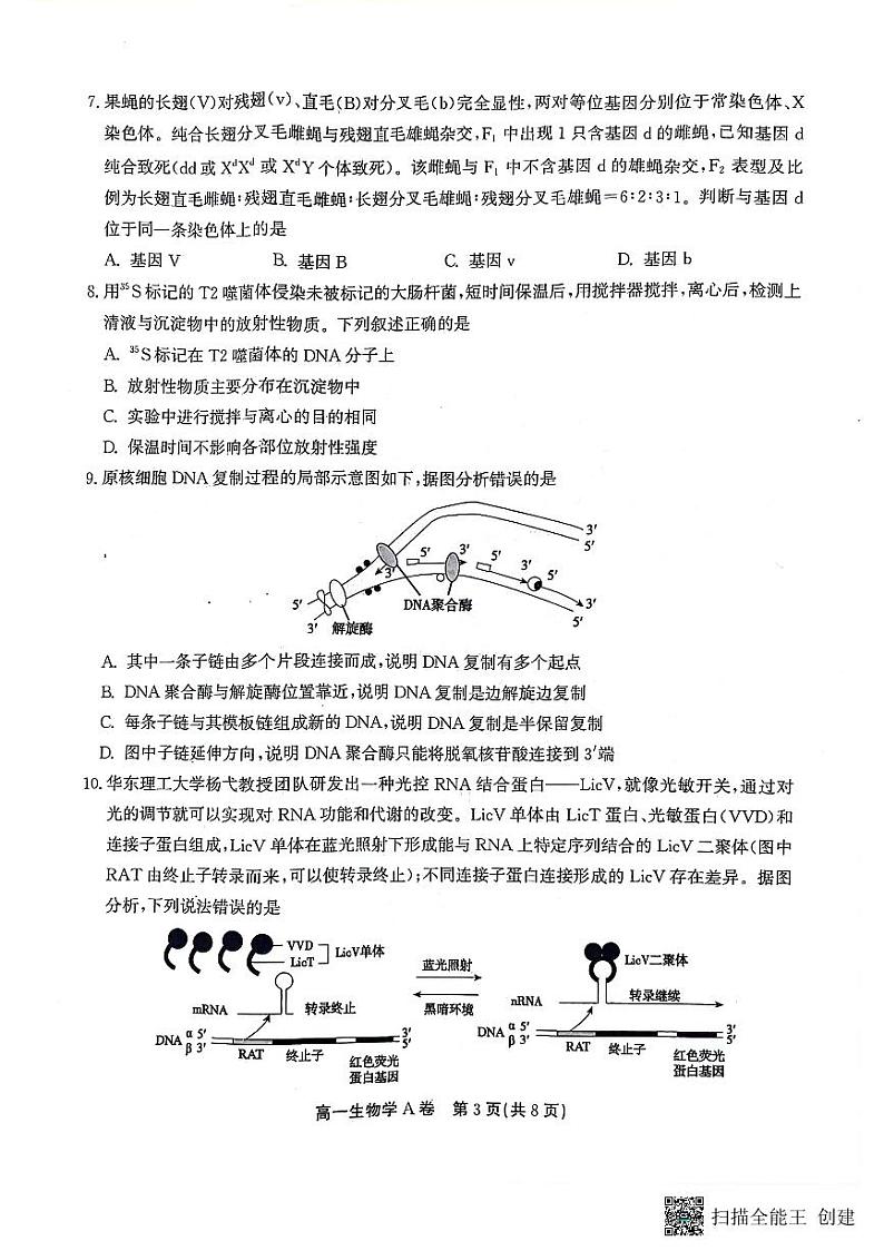 安徽省安庆市、铜陵市、池州市2023-2024学年高一下学期7月联合期末检测生物试卷（PDF版附解析）03