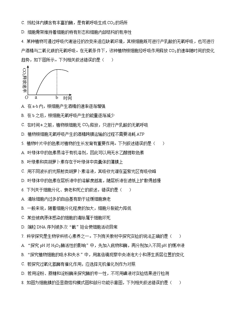 四川省凉山州2023-2024学年高一下学期期末考试生物试卷（Word版附解析）02