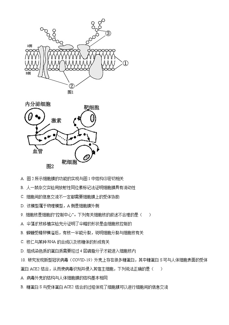 四川省凉山州2023-2024学年高一下学期期末考试生物试卷（Word版附解析）03