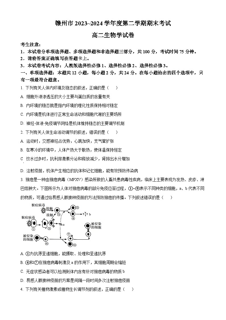 江西省赣州市2023-2024学年高二下学期7月期末考试生物试卷（Word版附解析）01