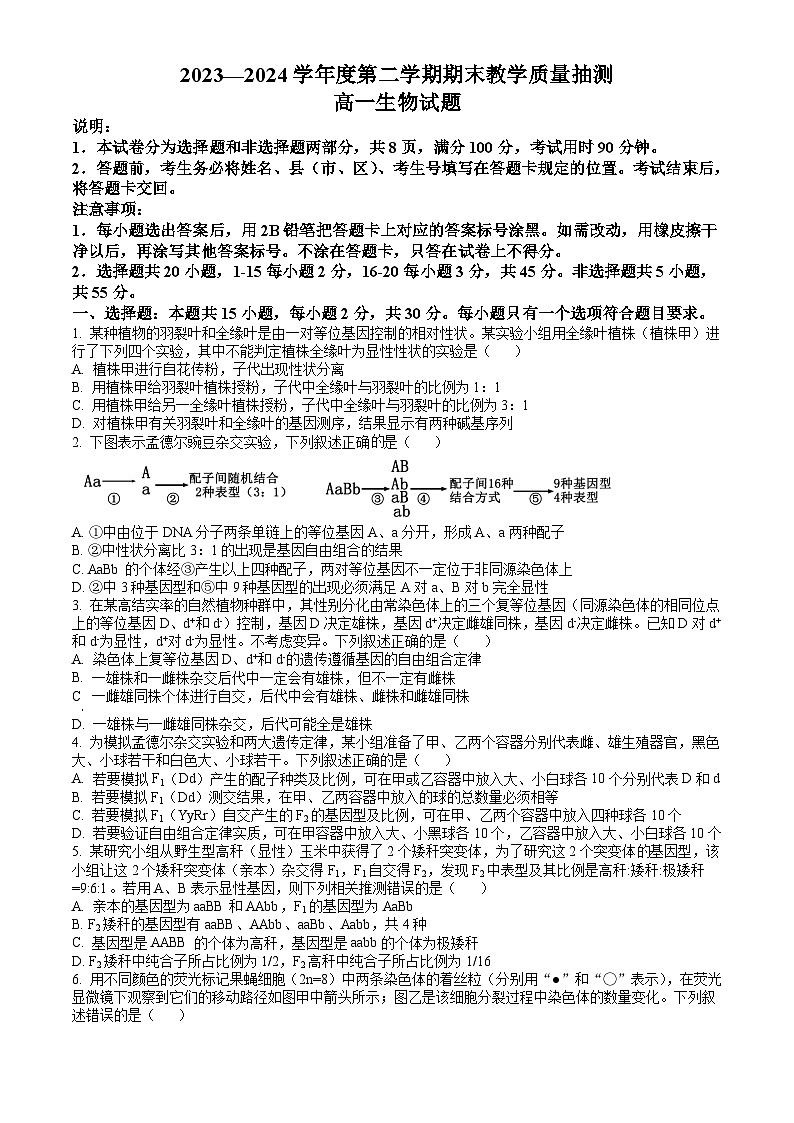 山东省聊城市2023-2024学年高一下学期7月期末考试 生物试题 Word版含答案01