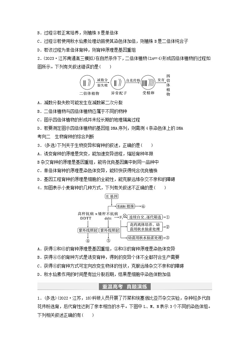 2024届高考生物一轮复习学案第七单元生物的变异和进化第3课时生物变异在育种上的应用苏教版03