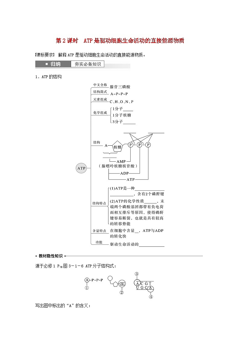 2024届高考生物一轮复习学案第三单元细胞的能量供应和利用第2课时ATP是驱动细胞生命活动的直接能源物质苏教版01