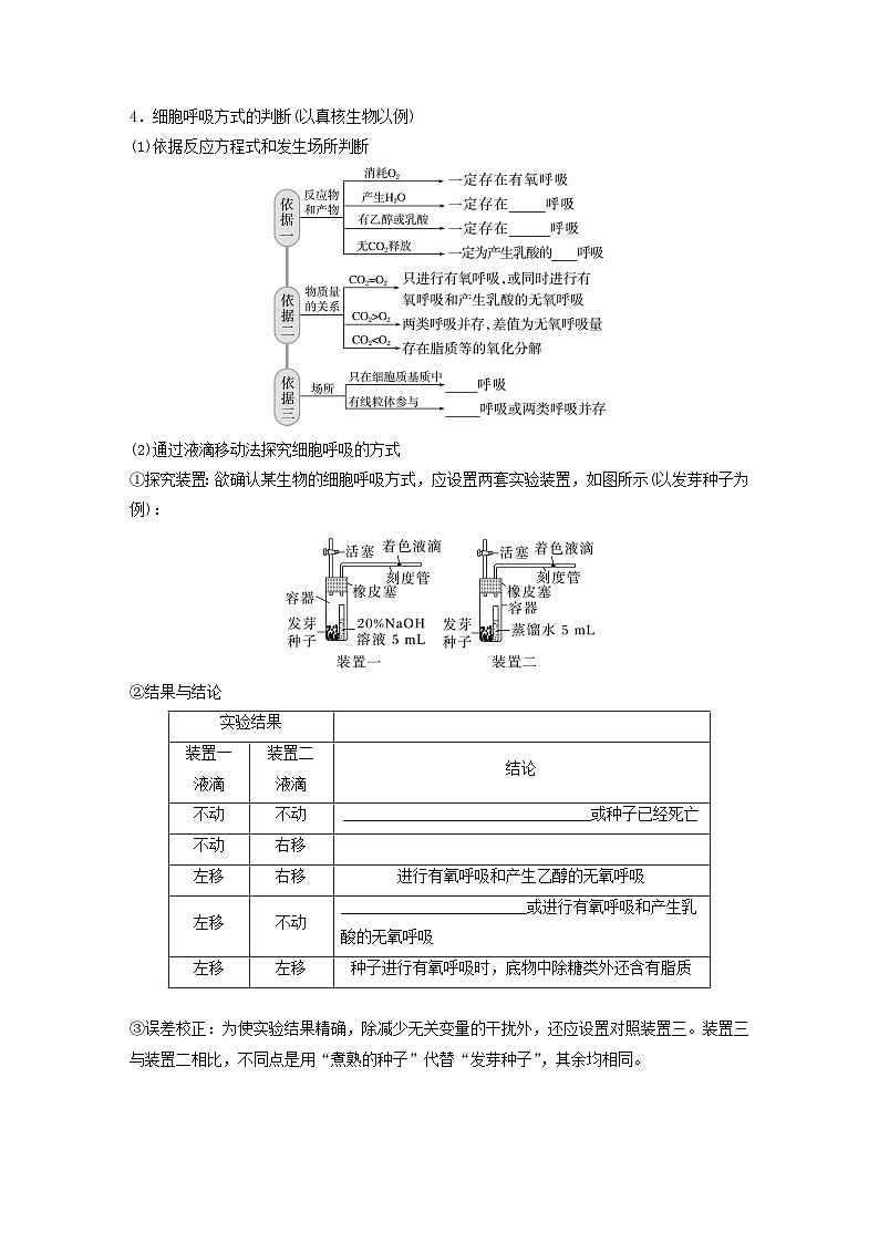 2024届高考生物一轮复习学案第三单元细胞的能量供应和利用第5课时细胞呼吸__能量的转化和利用苏教版第3页
