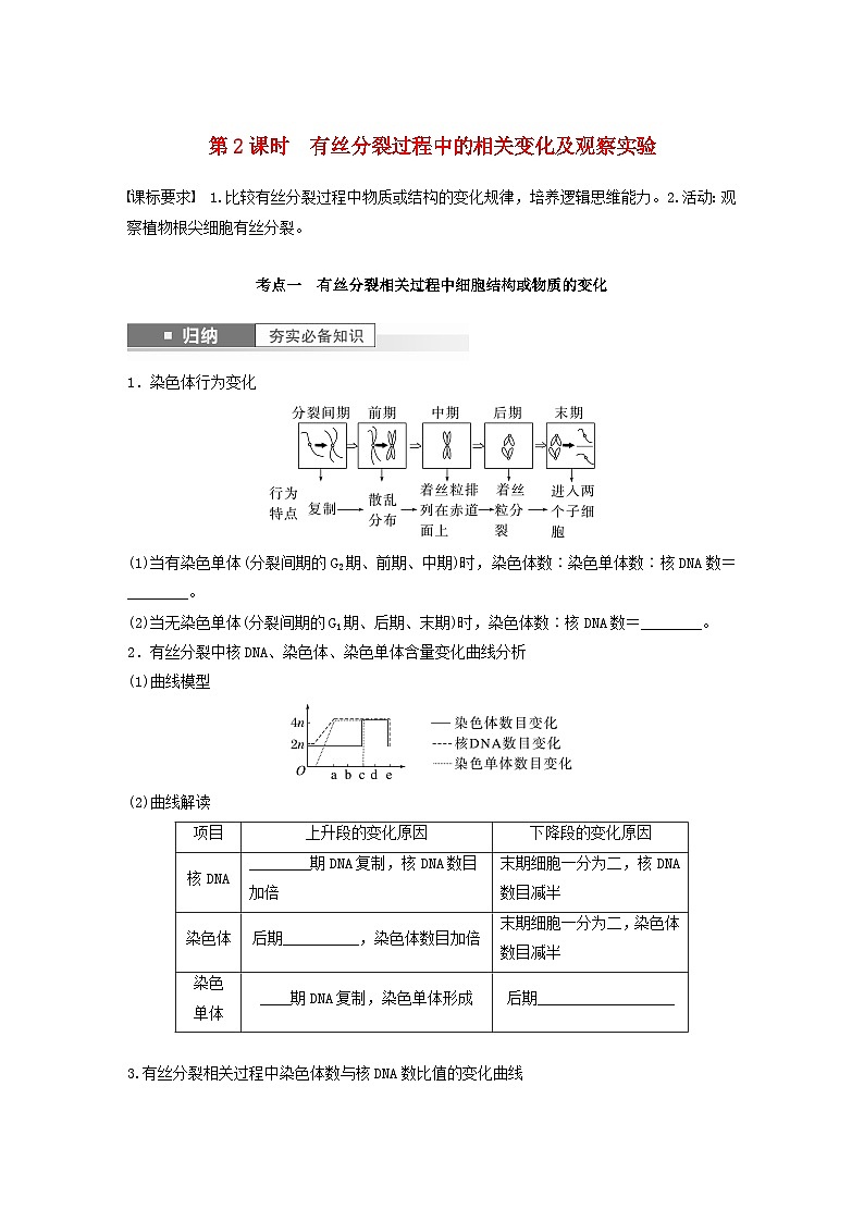 2024届高考生物一轮复习学案第四单元细胞的生命历程第2课时有丝分裂过程中的相关变化及观察实验苏教版01
