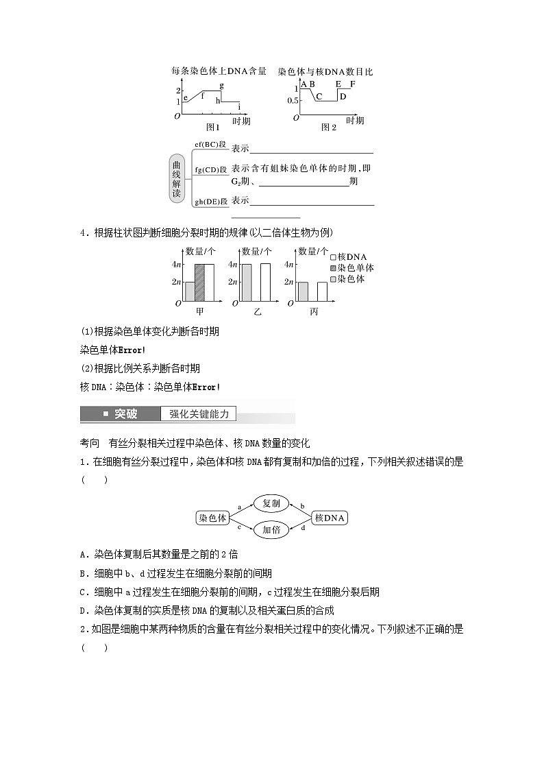 2024届高考生物一轮复习学案第四单元细胞的生命历程第2课时有丝分裂过程中的相关变化及观察实验苏教版02