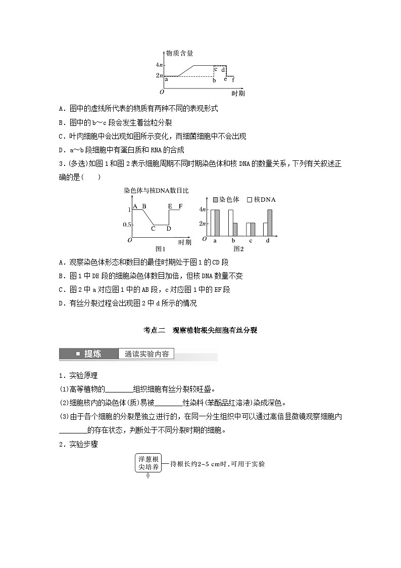 2024届高考生物一轮复习学案第四单元细胞的生命历程第2课时有丝分裂过程中的相关变化及观察实验苏教版03