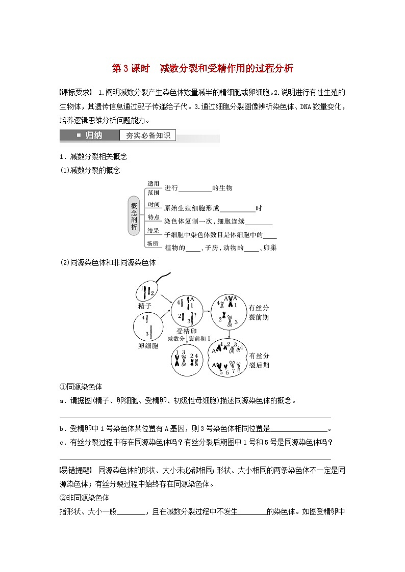 2024届高考生物一轮复习学案第四单元细胞的生命历程第3课时减数分裂和受精作用的过程分析苏教版01