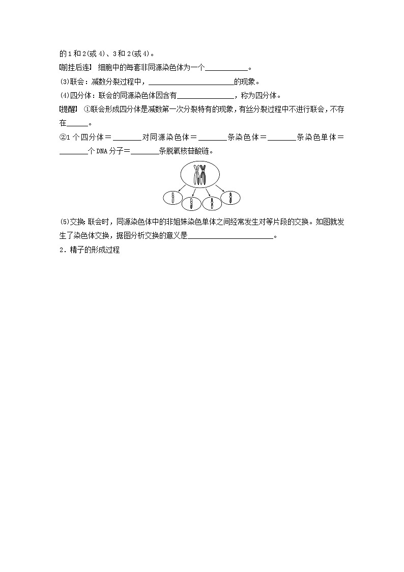 2024届高考生物一轮复习学案第四单元细胞的生命历程第3课时减数分裂和受精作用的过程分析苏教版02