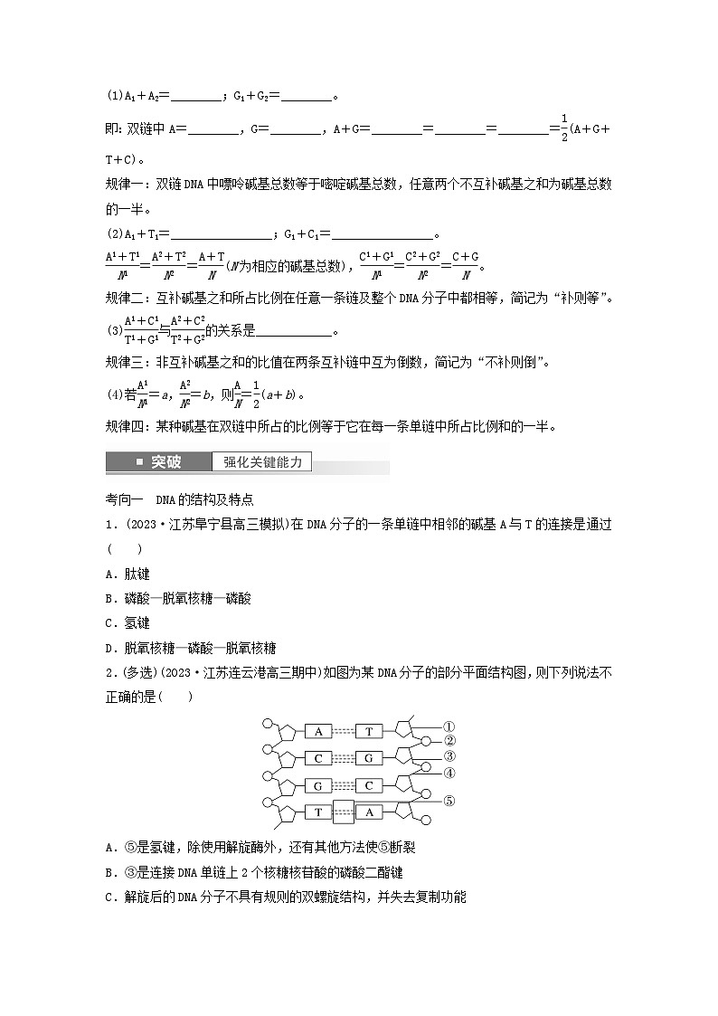 2024届高考生物一轮复习学案第六单元遗传的分子基础第2课时DNA分子的结构苏教版03
