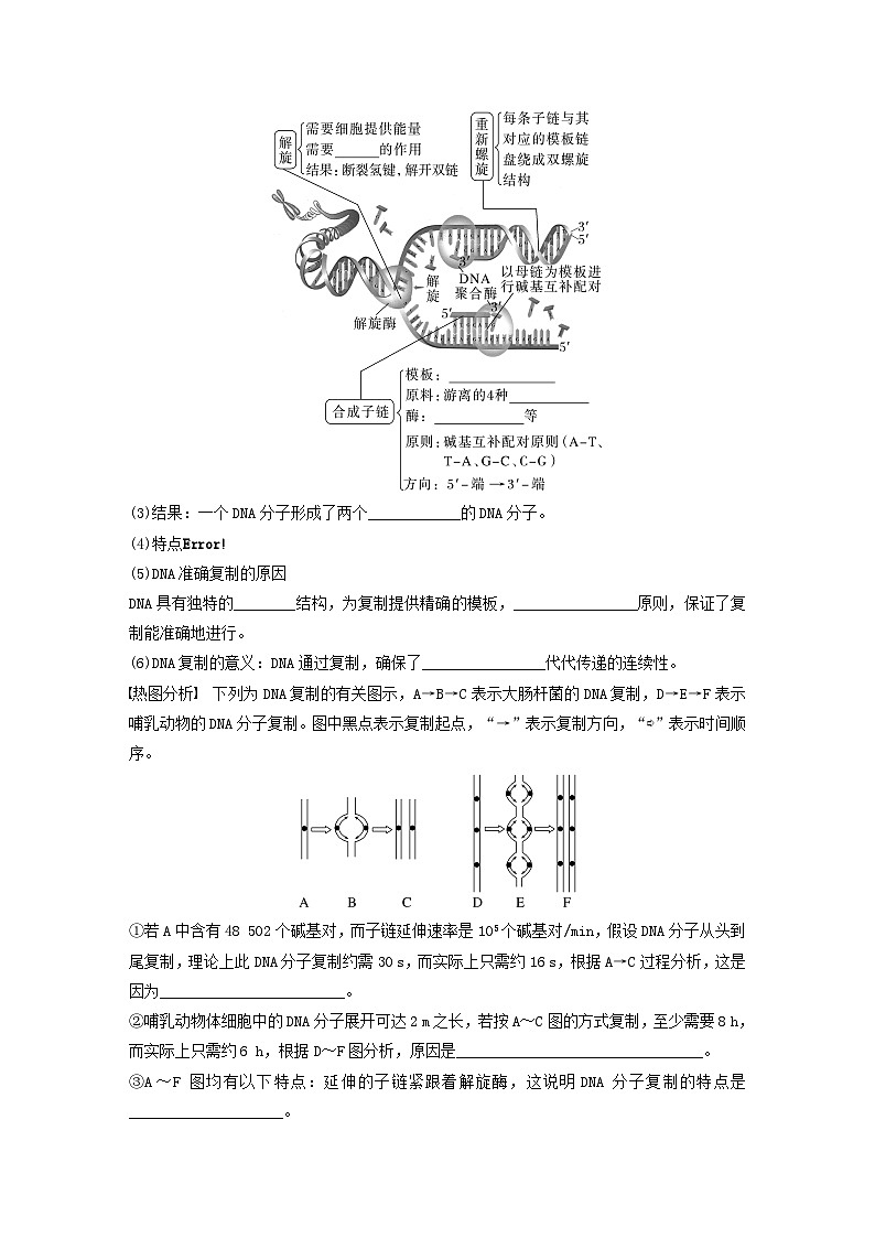 2024届高考生物一轮复习学案第六单元遗传的分子基础第3课时DNA的复制苏教版02