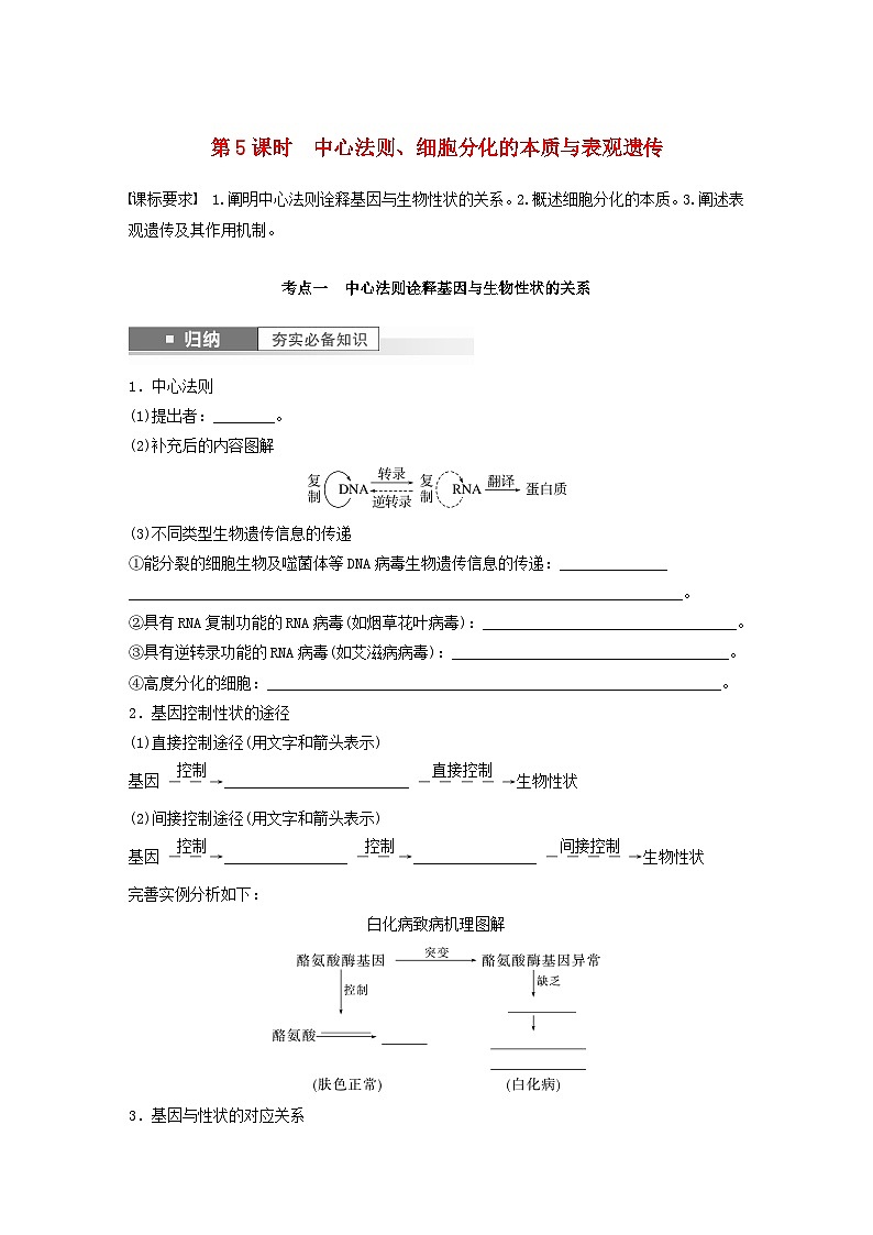 2024届高考生物一轮复习学案第六单元遗传的分子基础第5课时中心法则细胞分化的本质与表观遗传苏教版01