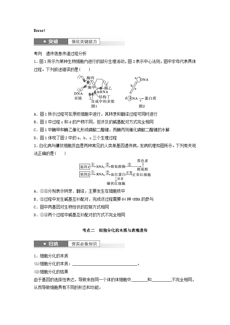 2024届高考生物一轮复习学案第六单元遗传的分子基础第5课时中心法则细胞分化的本质与表观遗传苏教版02