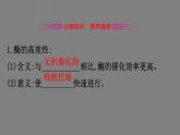 5.1降低化学反应活化能的酶 第2课时 课件 高一上学期 人教版（2019）高中生物必修一