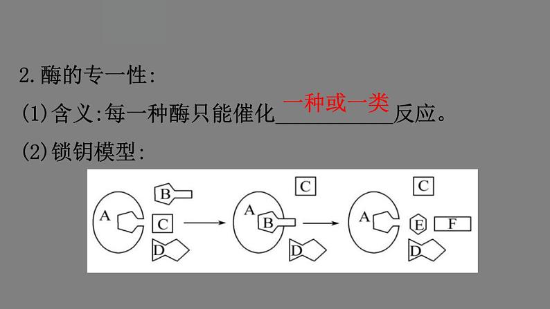 5.1降低化学反应活化能的酶 第2课时 课件 高一上学期 人教版（2019）高中生物必修一04