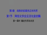 5.1降低化学反应活化能的酶 第1课时 课件 高一上学期 人教版（2019）高中生物必修一