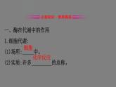 5.1降低化学反应活化能的酶 第1课时 课件 高一上学期 人教版（2019）高中生物必修一