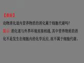 5.1降低化学反应活化能的酶 第1课时 课件 高一上学期 人教版（2019）高中生物必修一